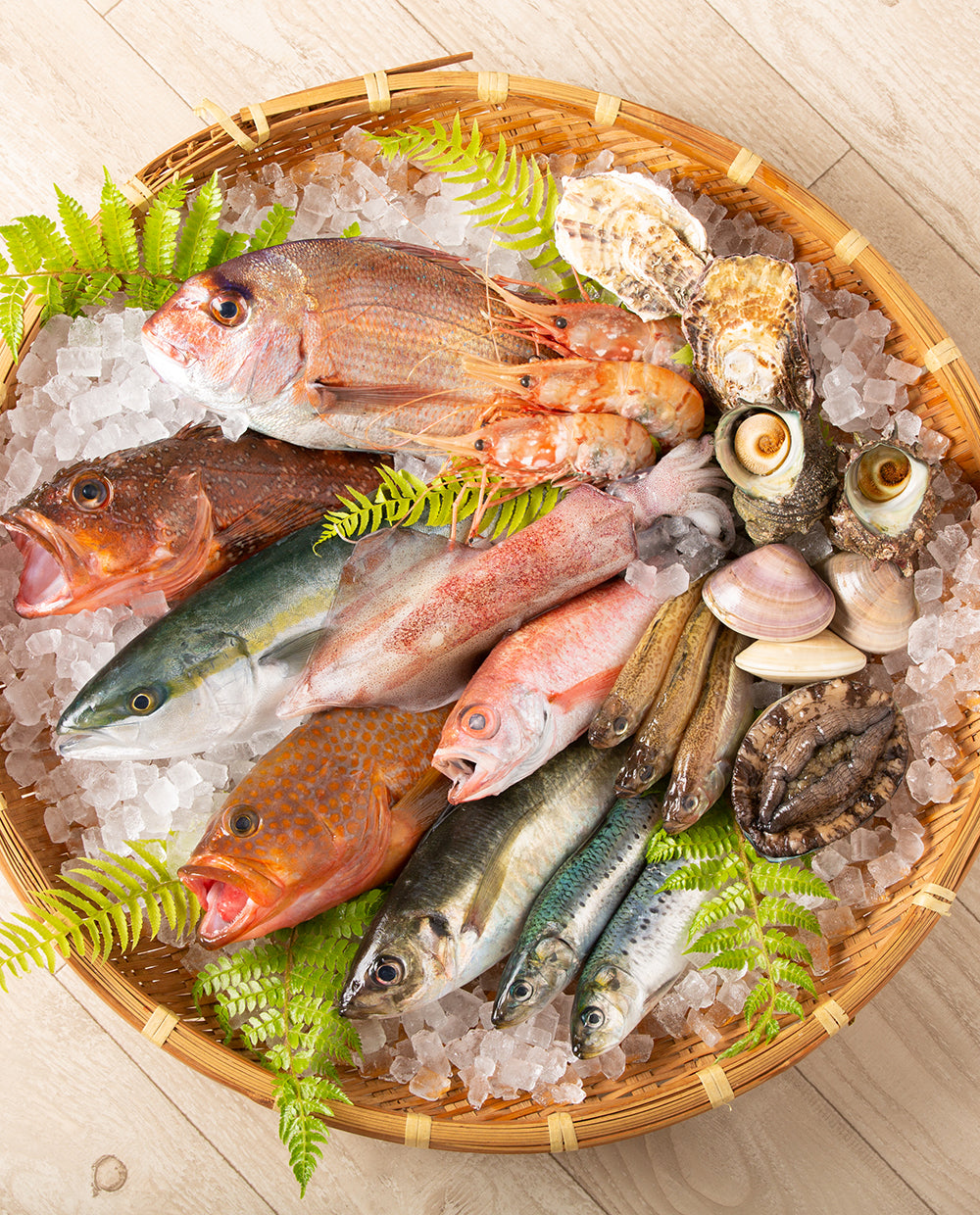 季節の海の幸セット