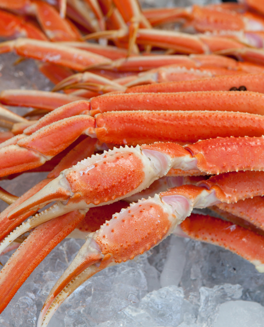 ボイルずわいがに足 1匹分(足のみ)