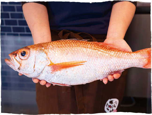 新鮮な魚介と素材