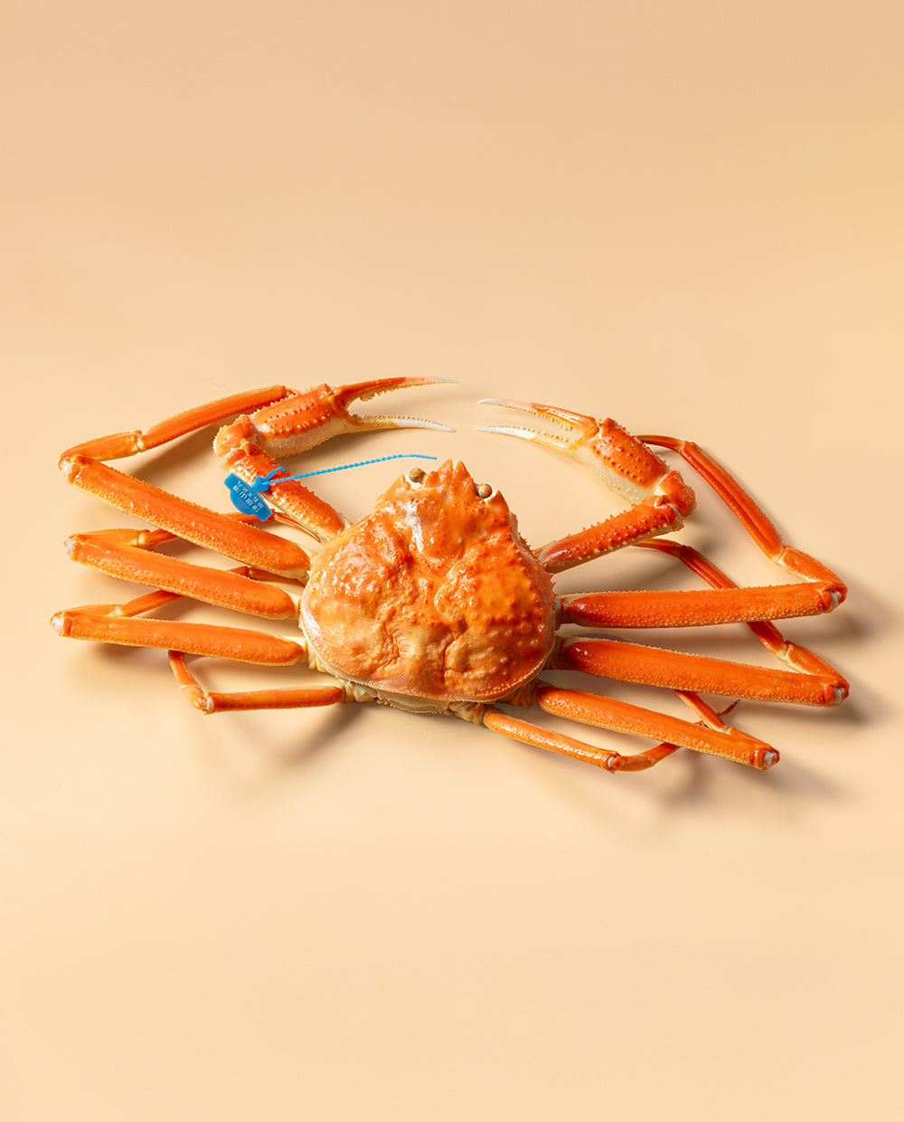 但馬産　ボイル松葉がに（１本足落）