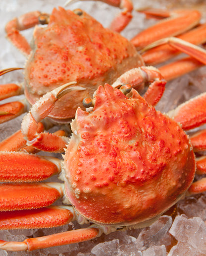 但馬産　ボイル松葉がに（１本足落）