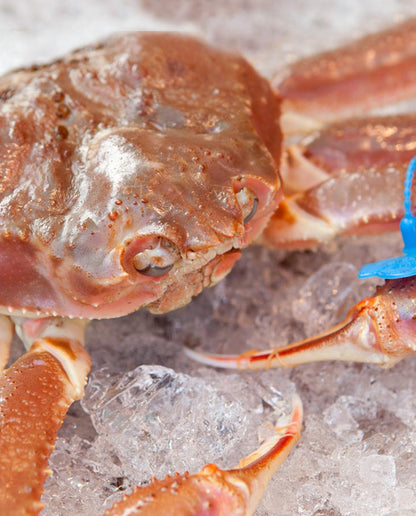 但馬産 活松葉がに（1本足落）