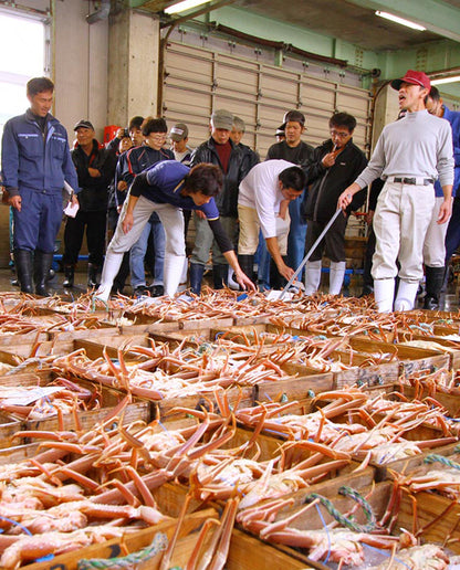 但馬産 活松葉がに（1本足落）